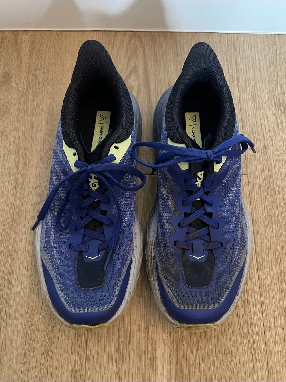 Hoka Women's Purple Speedgoat 5 Trail Running Shoes